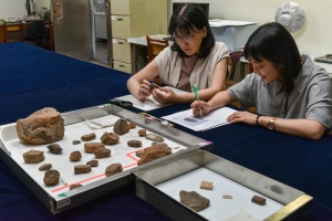 通過古代文物探索社會—一個女性學者的視角