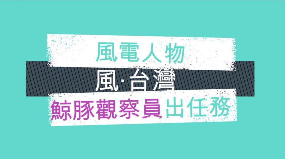 【風．台灣】鯨豚觀察員的日常－熱愛海洋的鯨豚觀察員王亭云