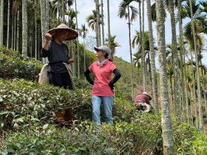 全球在地化下的風土產品研究—一場無止盡的冒險