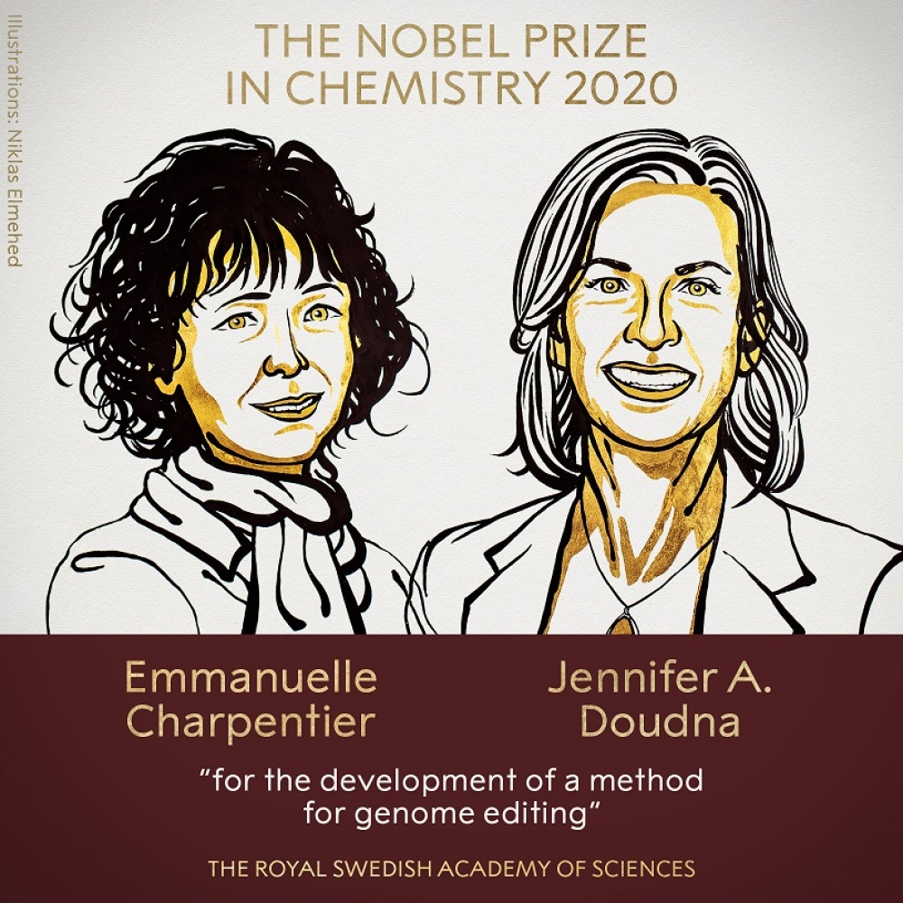 【2020諾貝爾化學獎】基因剪刀：一個改寫生命密碼的工具