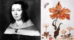 Maria Sibylla Merian：17世紀藝術家，昆蟲學家，探險家和原生態學家（英）
