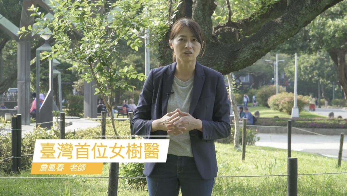 臺灣首位女樹醫專訪：「樹木，也是生命」